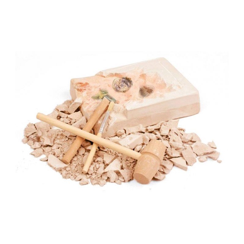 Moses - Expeditie natuur uithakset fossielen