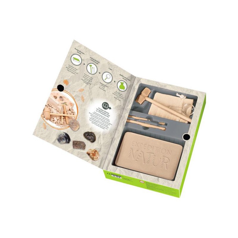 Moses - Expeditie natuur uithakset fossielen