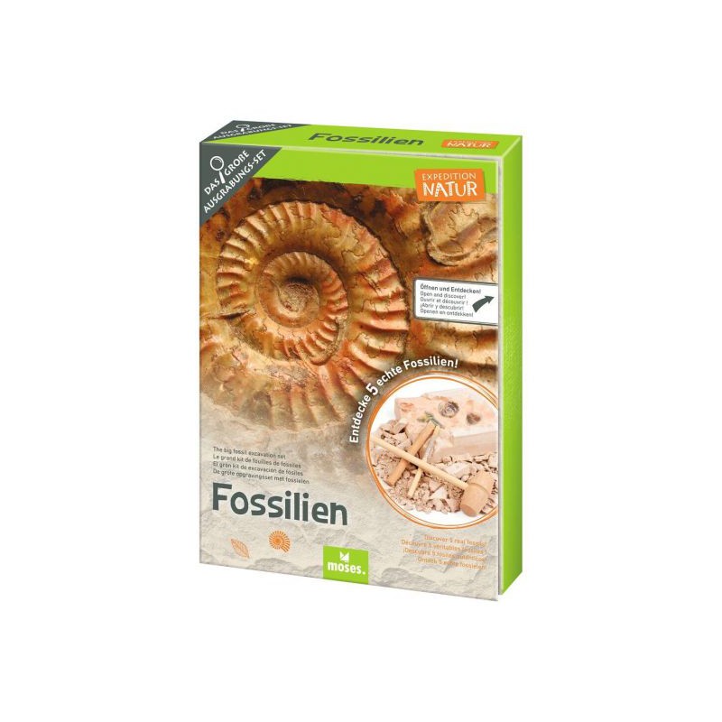 Moses - Expeditie natuur uithakset fossielen