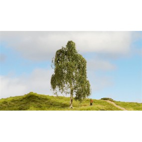 zilverberk-18cm-noch-20120