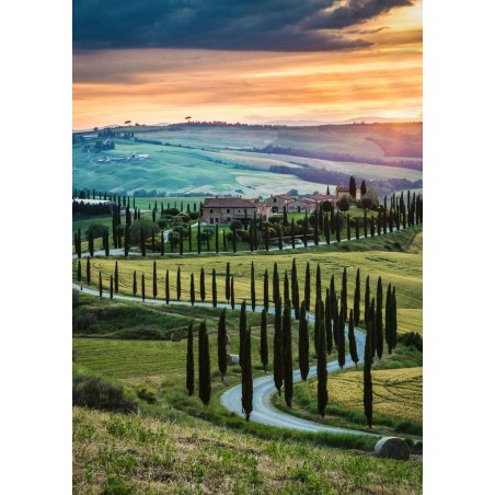 1000stukjes Ravensburger Val d'Orcia, Toscane italie