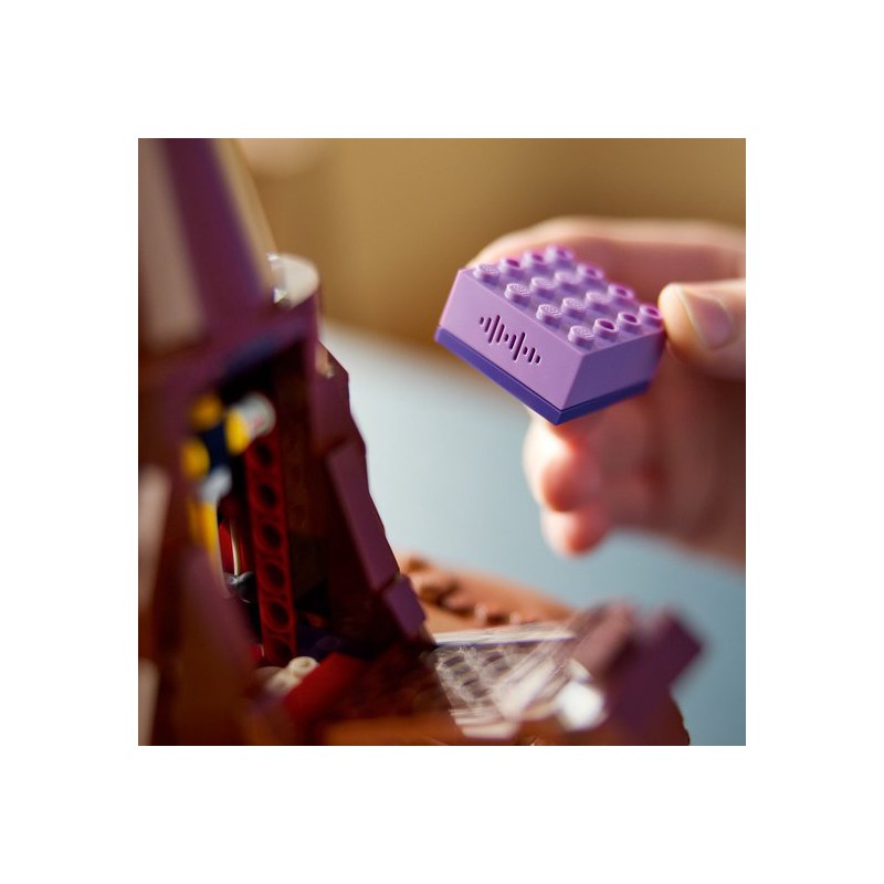 LEGO HARRY POTTER - 76429 Pratende Sorteerhoed