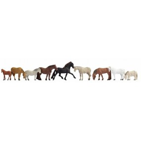 Paarden, N Noch, 36761