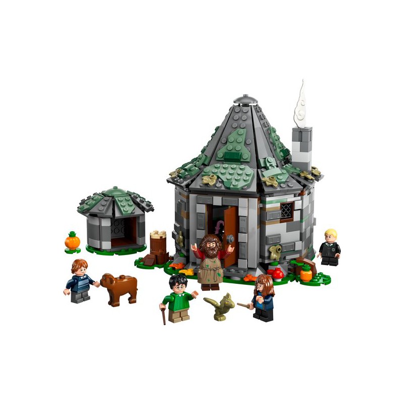 LEGO HARRY POTTER - 76428 Hagrids huisje: onverwacht bezoek