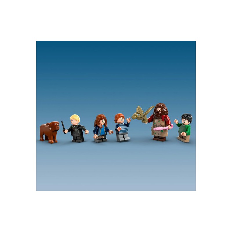 LEGO HARRY POTTER - 76428 Hagrids huisje: onverwacht bezoek