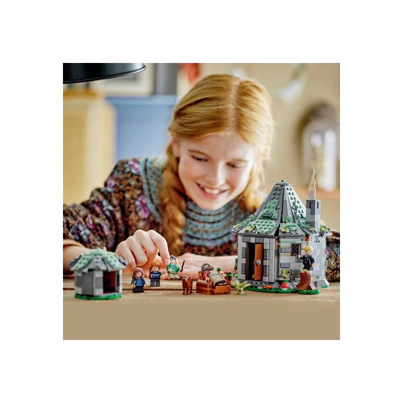 LEGO HARRY POTTER - 76428 Hagrids huisje: onverwacht bezoek