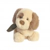 Ebba eco, Toddy hond, rammelaar 15cm