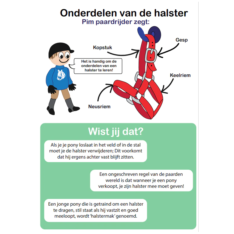 Crafty Ponies -  Fleecedeken set rood