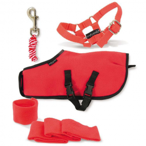 Crafty Ponies -  Fleecedeken set rood