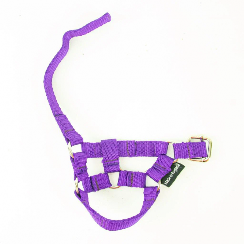 Crafty Ponies - Halster paars