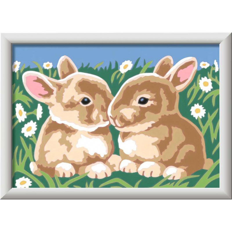 CreArt, Fluffy Bunnies, Schilderen op nummer, Ravensburger