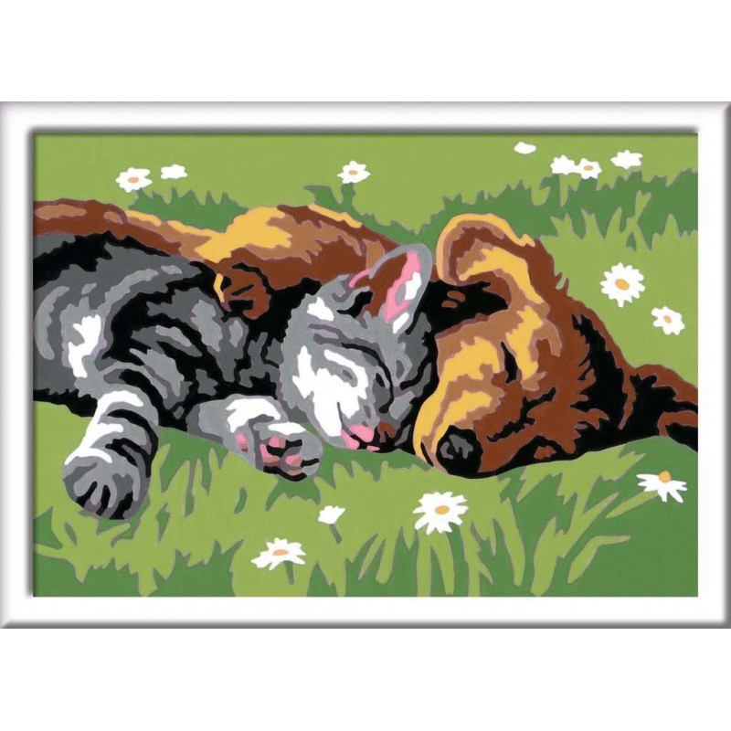 CreArt, Sleeping cats and dogs, Schilderen op nummer, Ravensburger