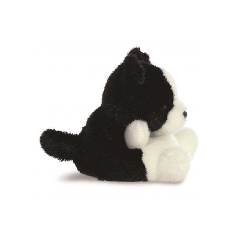 Palm Pals, border collie