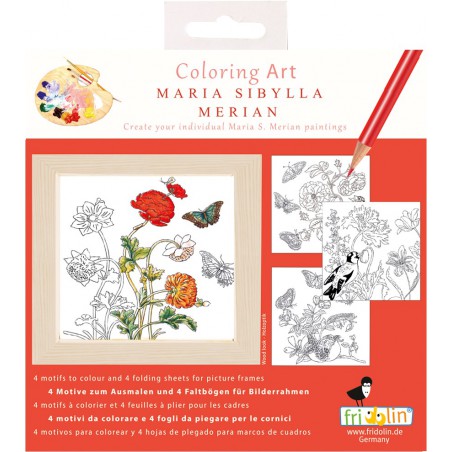 Fridolin, Coloring Art - Maria Sibylla Merian