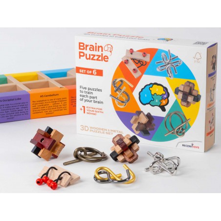 Brain Puzzle 6pcs, Recent Toys