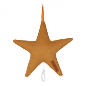 Ster muziekdoos pure ochre spice, Little Dutch