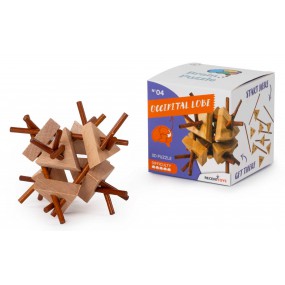 Occipital Lobe Puzzle