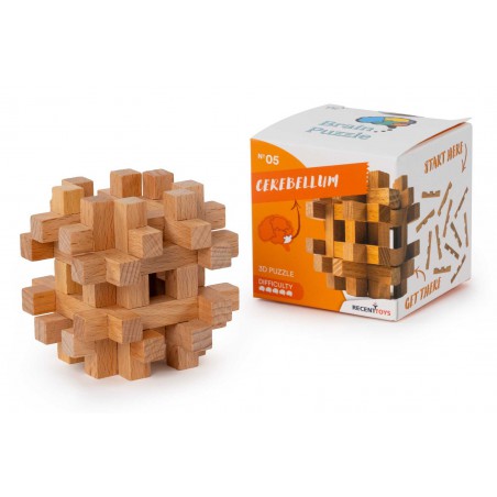 Cerebellum Puzzle