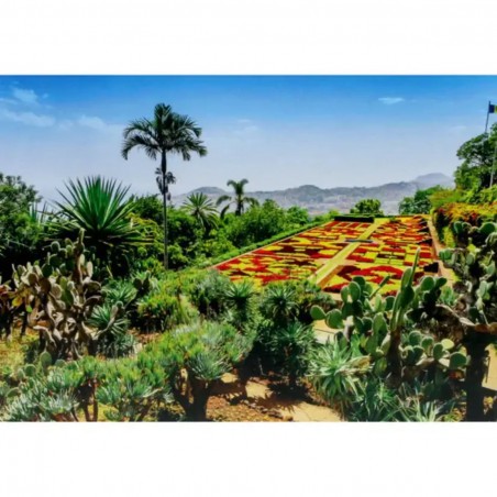 1000stukjes puzzel Ravensburger Botanical garden Madeira