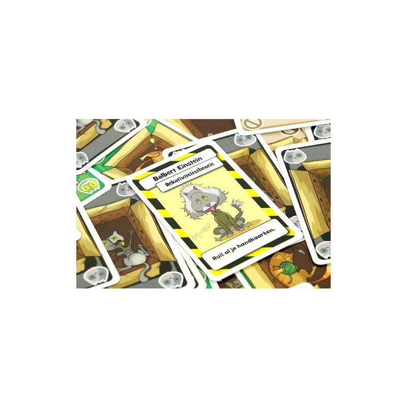 Schrödinger's Katten- Kaartspel, 999games