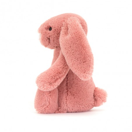 Bashful sorrel bunny little, Jellycat