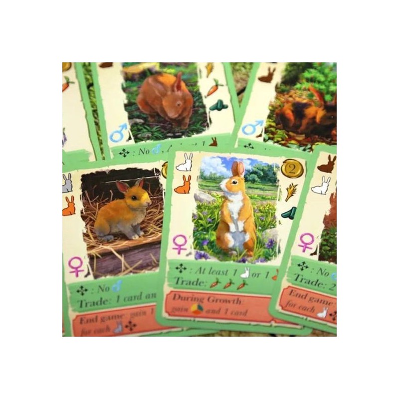 Coney- bordspel Happy Meeple Games