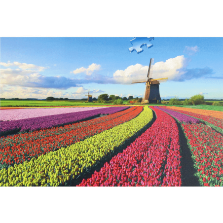 1000stukjes puzzel Ravensburger Tulpenveld met molen