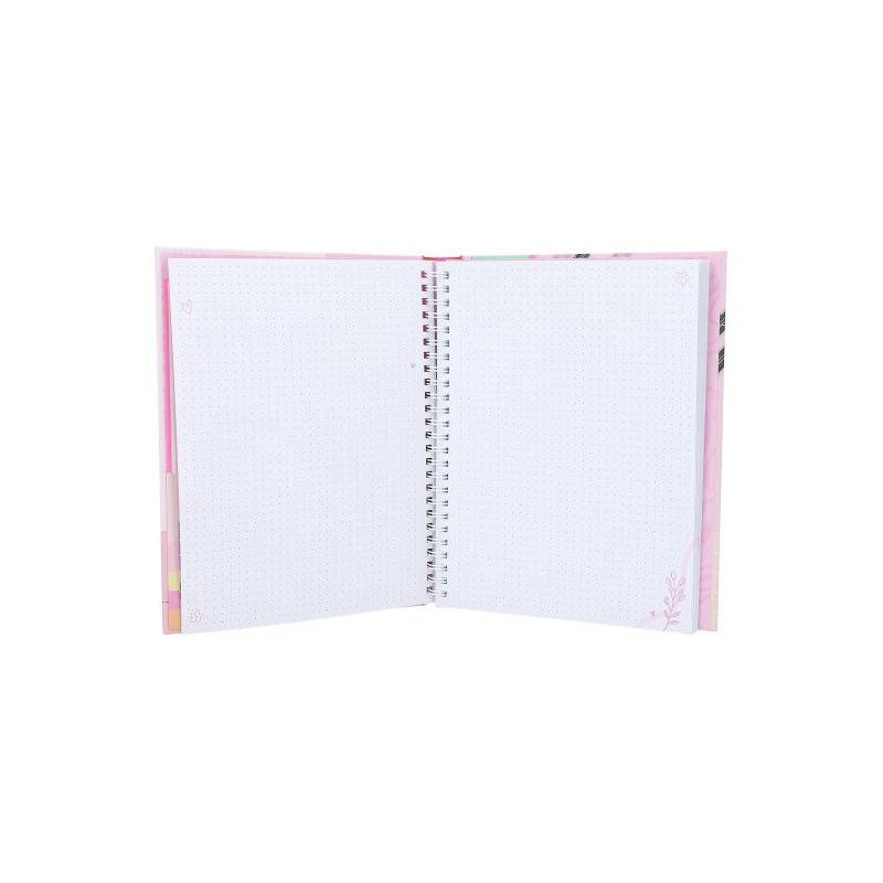 TOPModel my journal 12716