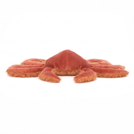 Spindleshanks crab, Jellycat