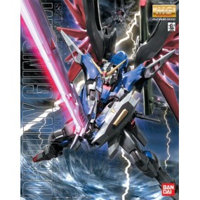 Gundam MG, Destiny Gundam, Bandai