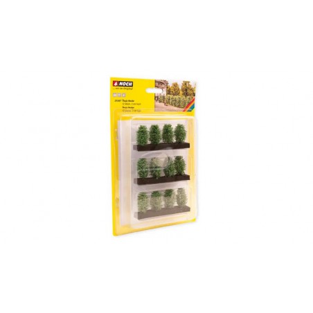 Thuja Haag, 12 Stuks, 3 CM, Noch H0 TT N