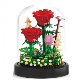 Red roses in stolp, Balody