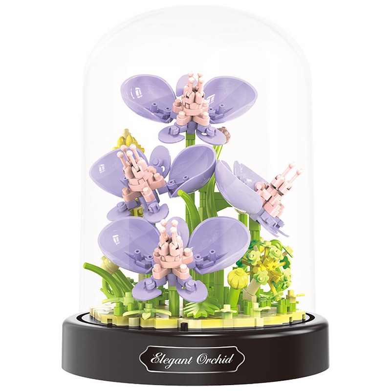 Elegant orchids in stolp, Balody