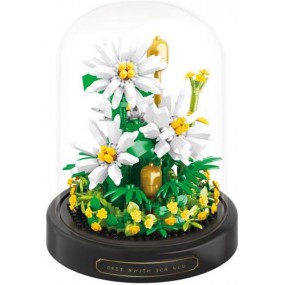 White daisies in stolp, Balody