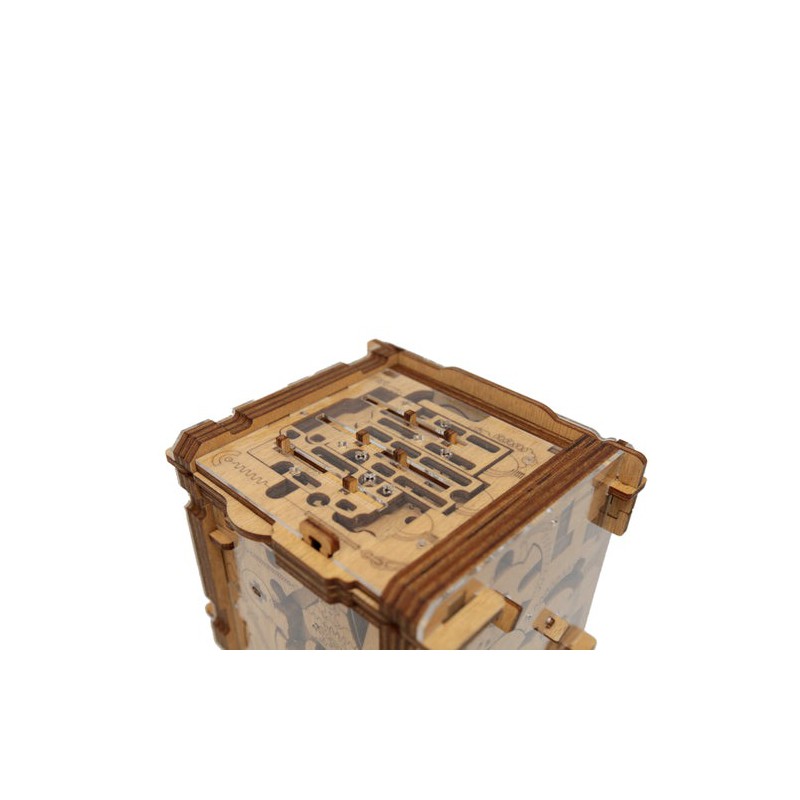 Cambridge Labyrinth - Cluebox, Idventure