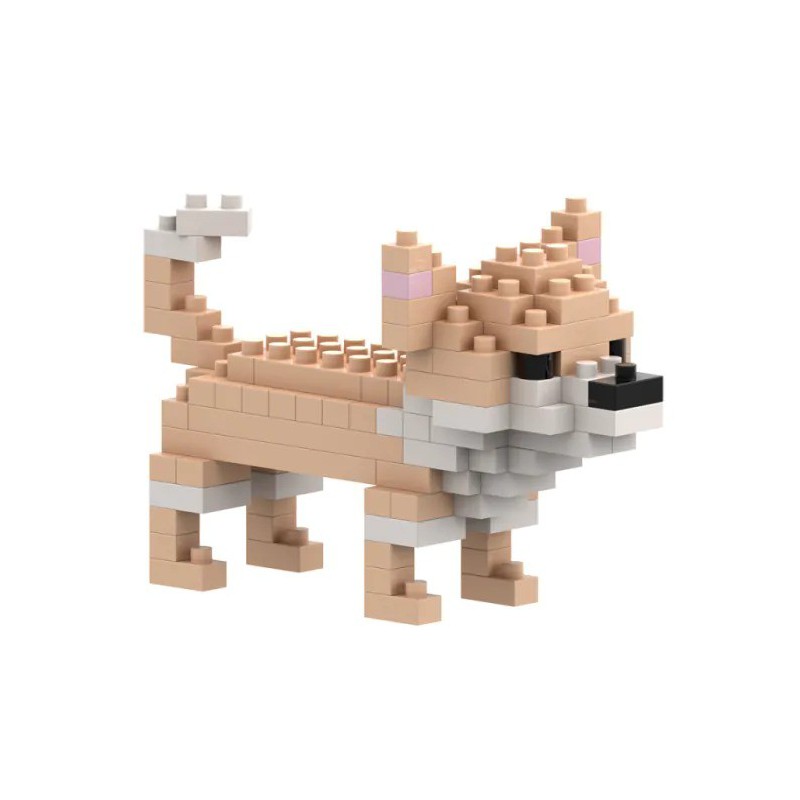 Brixies - Chihuahua, 100st