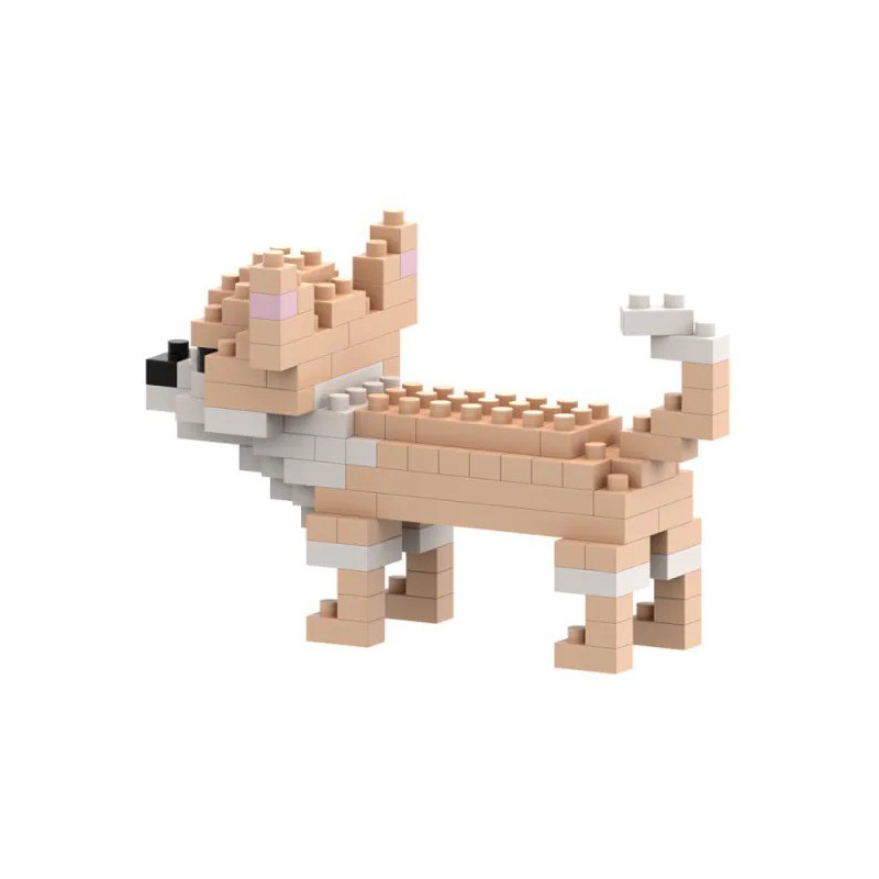 Brixies - Chihuahua, 100st