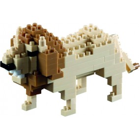 Brixies - Leeuw, 119st