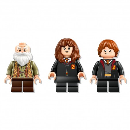 LEGO HARRY POTTER - 76442 toverspreukenles