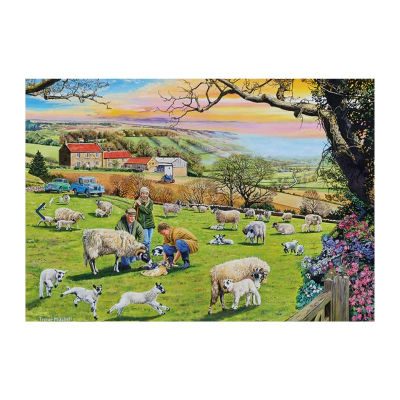 Call the vet,, (4 x 500 stukjes puzzel)