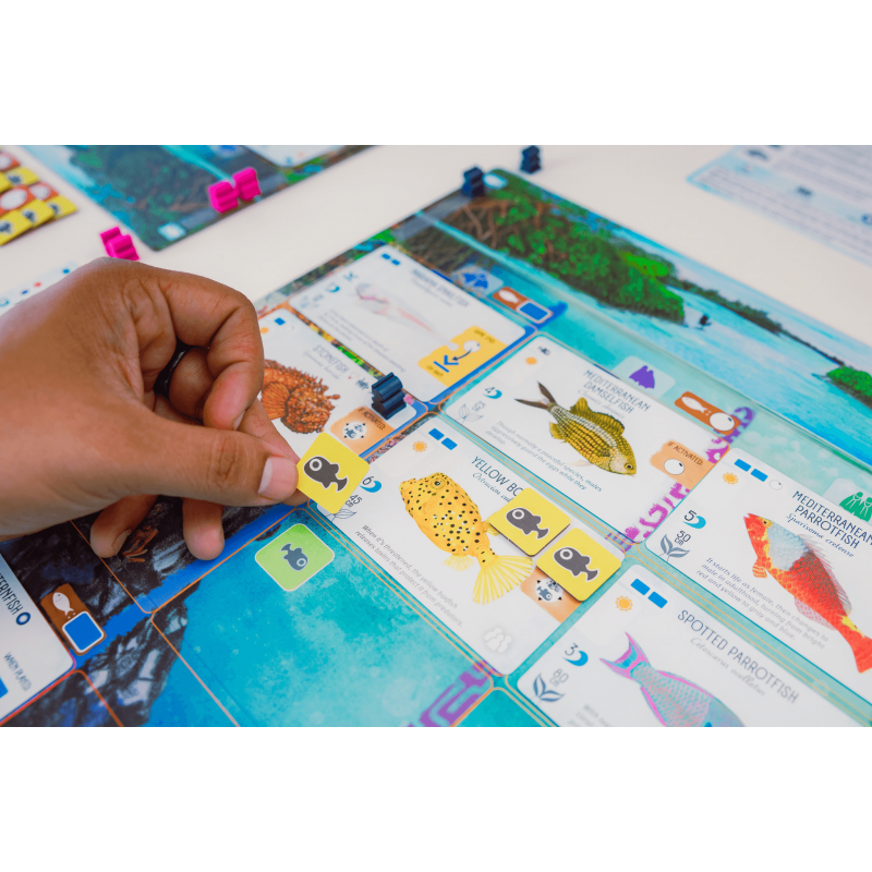 Finspan - Bordspel, 999games