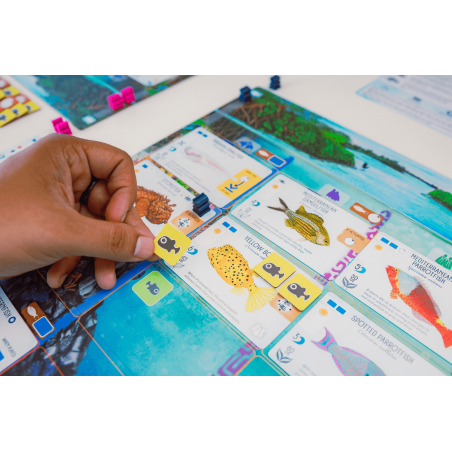 Finspan - Bordspel, 999games