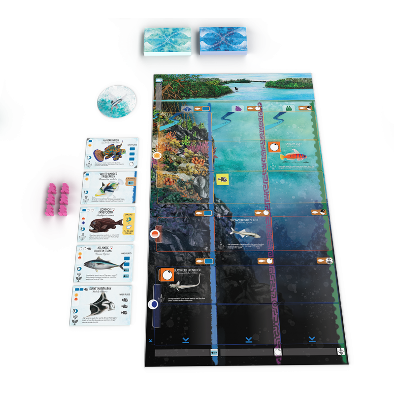 Finspan - Bordspel, 999games