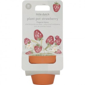 Plantenpotje, aardbei - Little Dutch