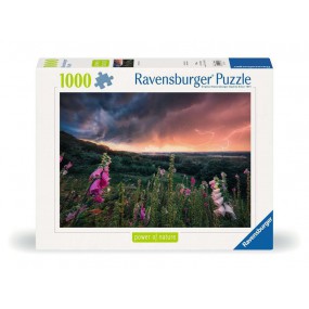 Dreamy thunder, 1000 stukjes Ravensburger