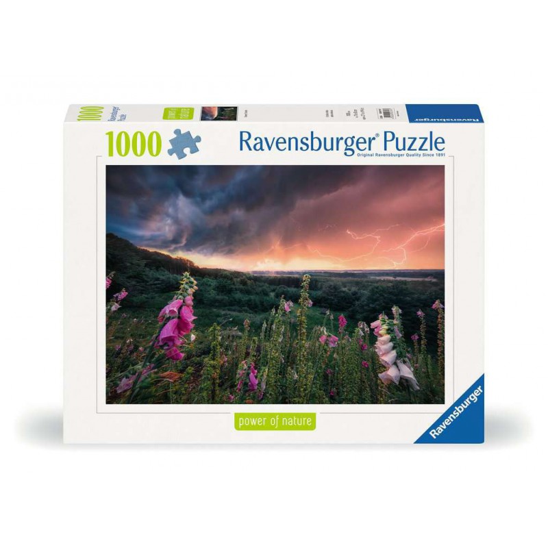 Dreamy thunder, 1000 stukjes Ravensburger