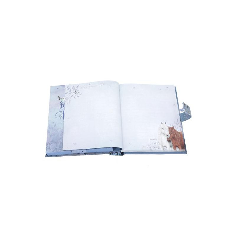 Miss Melody, Dagboek met code en geluid 13237