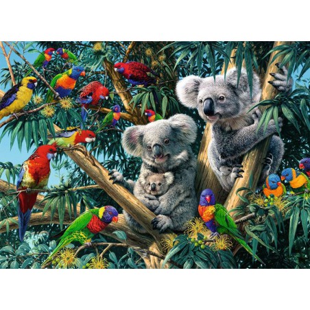 Koalas in de boom Ravensburger 500stukjes