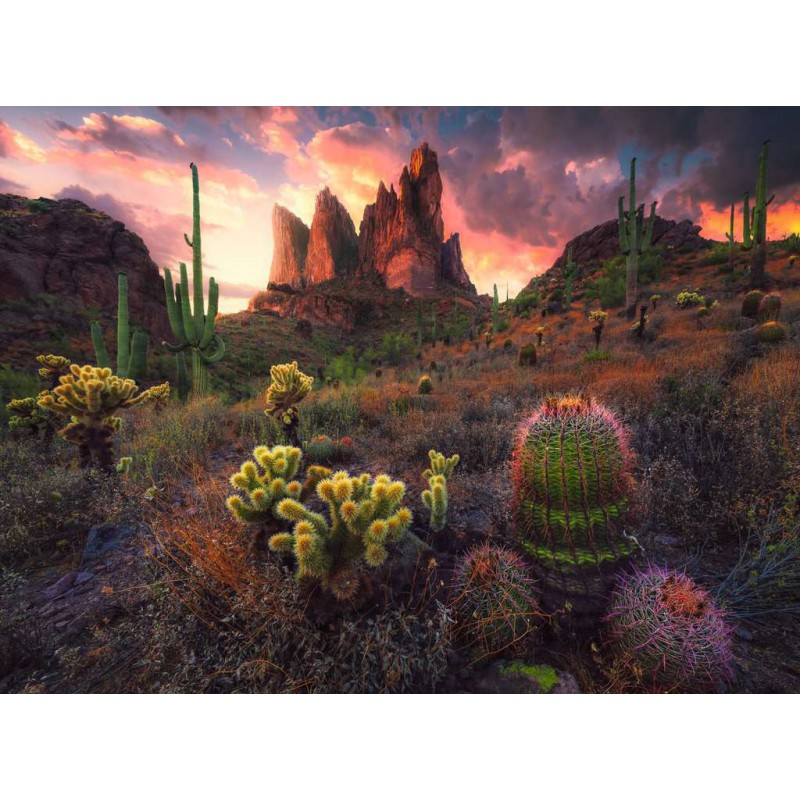 Cactus, 500 stukjes puzzel  Ravensburger
