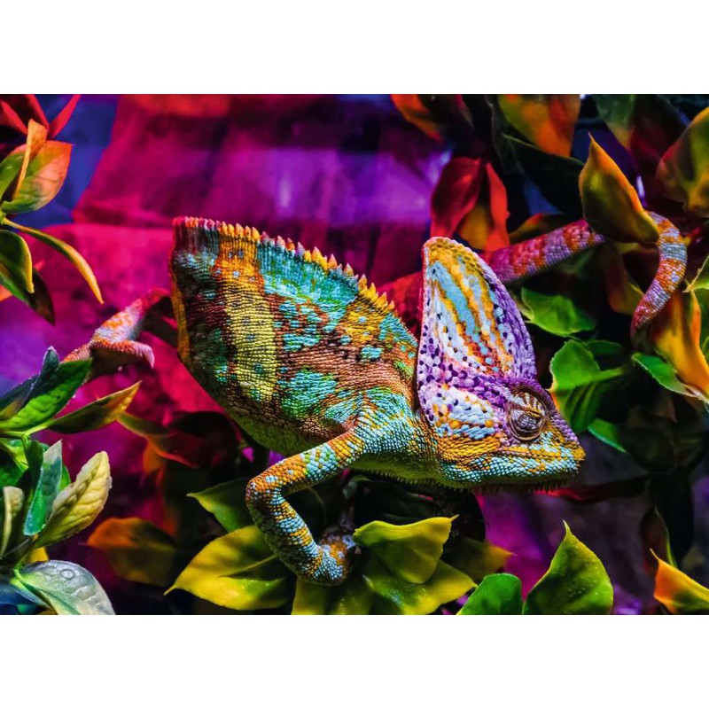Chameleon 500 stukjes puzzel  Ravensburger